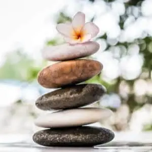 stack of rocks with plumeria